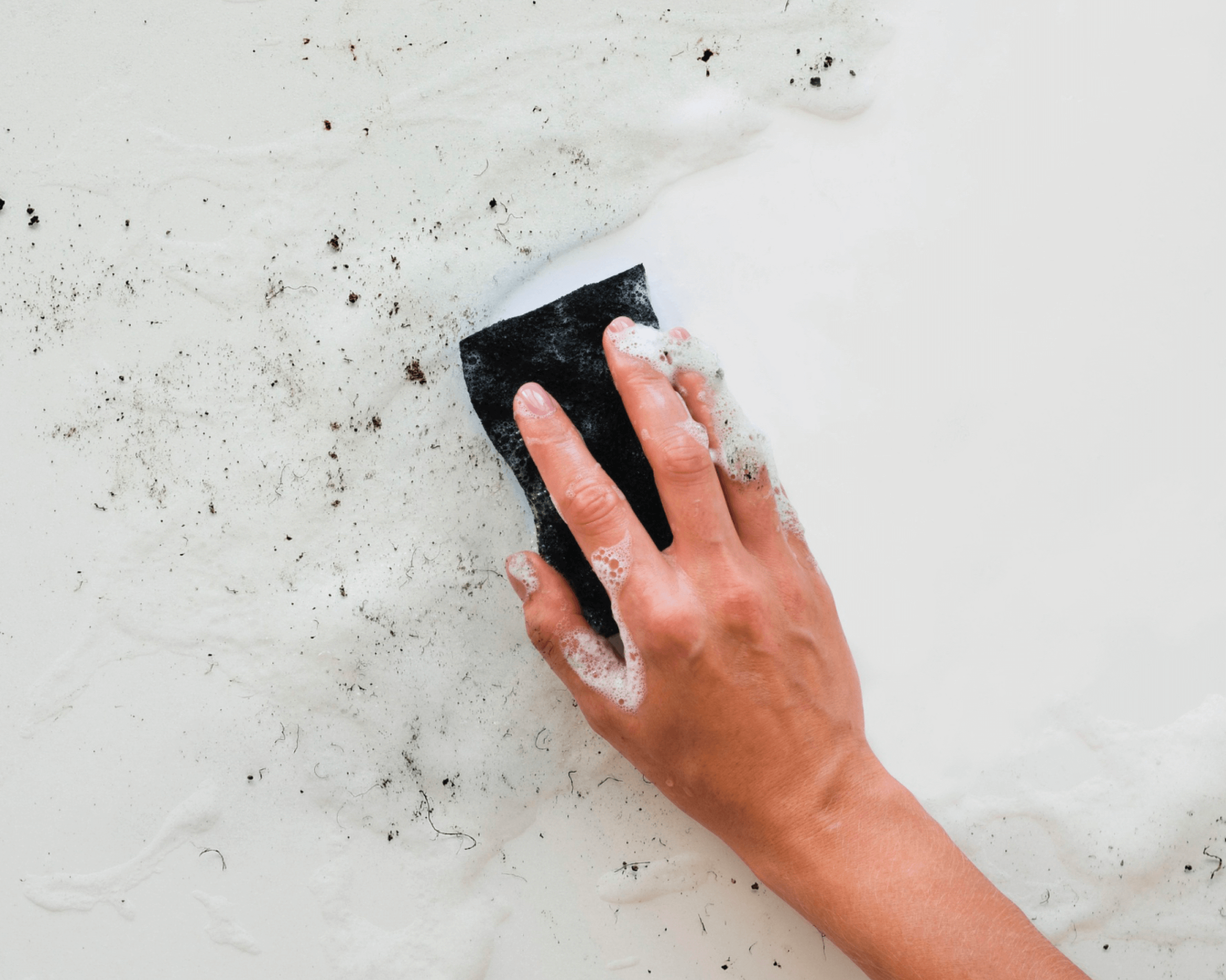 Guida completa al trattamento e prevenzione della muffa sulle pareti