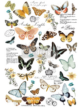 Redesign Décor Transfers® - Butterfly Dance - misura 60,96 cm x 88,90 cm