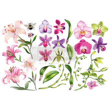Redesign Décor Transfers® - Sunset Tropics - misura 15,24 cm x 30,48 cm