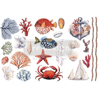Décor Transfers® - Amazing Sea Life - misura 15,24 cm x 30,48 cm