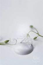 Natural White