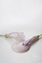 Faded Rose