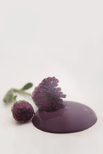 Posh Plum