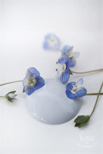 Baby Blue