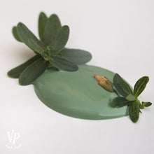 Graceful Green 700 ml