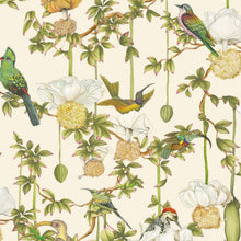 Carta da Parati Baobab Botanica Cole & Son | Ardmore Baobab