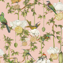Carta da Parati Baobab Botanica Cole & Son | Ardmore Baobab