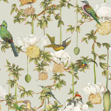 Carta da Parati Baobab Botanica Cole & Son | Ardmore Baobab