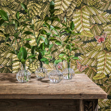 Carta da Parati Acacia Canopy Cole & Son | Ardmore Baobab