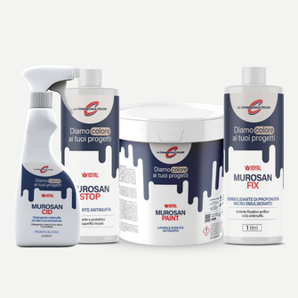 Kit Antimuffa + Murosan Paint