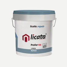 Profer 100 DOP REV 2 5 kg – Malta Cementizia Anticorrosiva per Ferri d’Armatura
