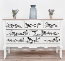 Redesign Décor Transfers® - Birds Berries - misura 60,96 cm x 86,36 cm