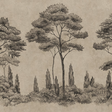 Andrea - VILLA COMO