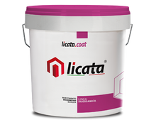 Silsan Paint bianco kg 20